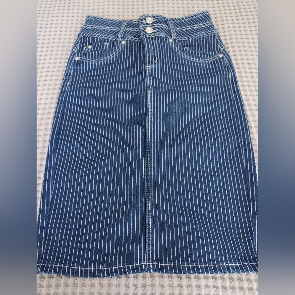 Salvaje.E. Blue Striped Denim Skirt